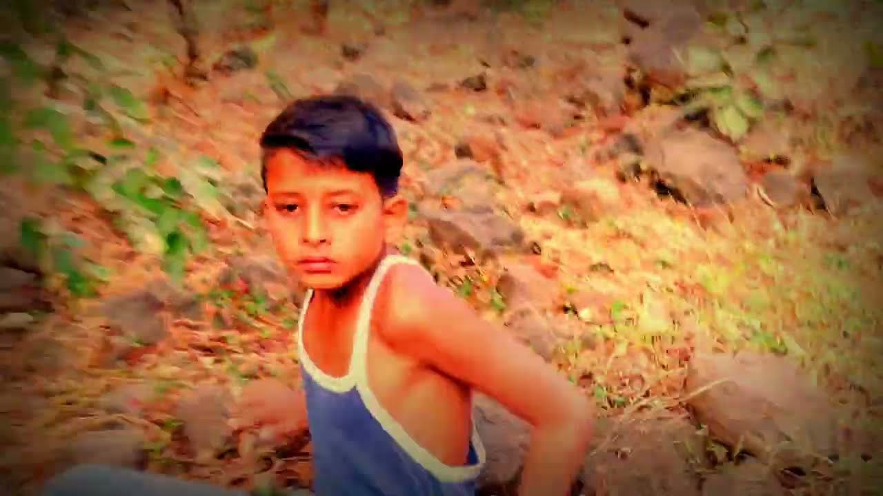 Tiger attack in real life in this forest 