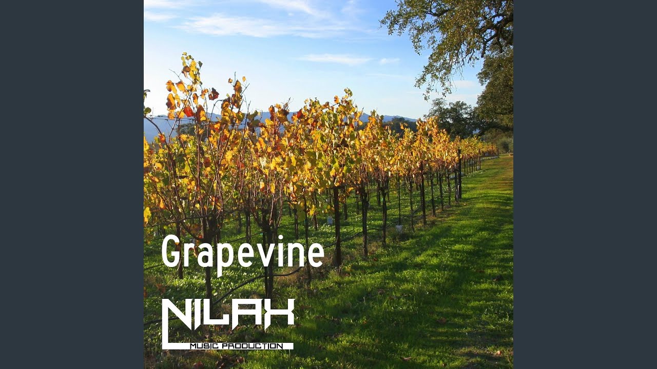 Grapevine