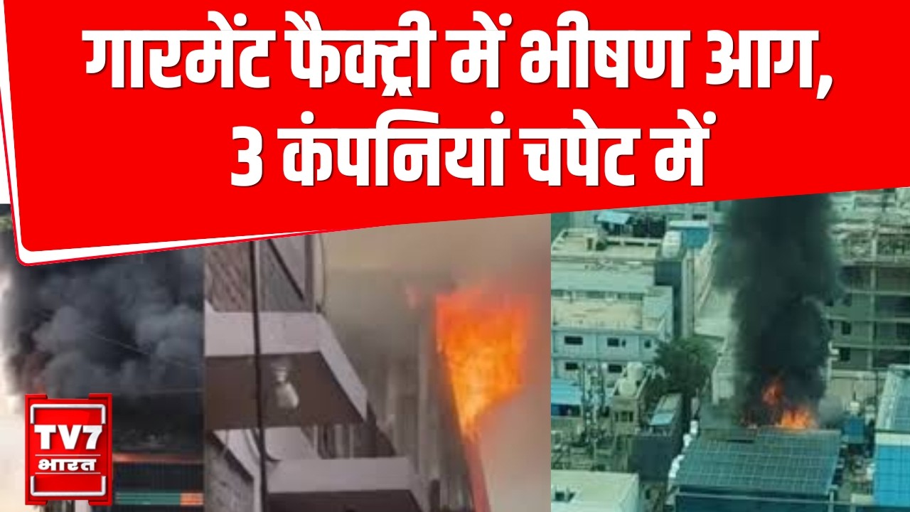 Noida Sector 63 Fire News: गारमेंट फैक्ट्री में भीषण आग, 3 कंपनियां चपेट में | Noida Fire
