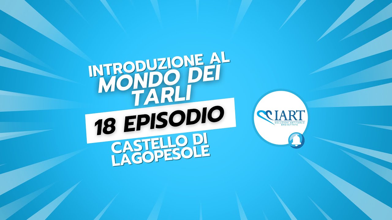 Introduzione al Mondo dei Tarli | 18 episodio | Casi Studio: Castello di Lagopesole