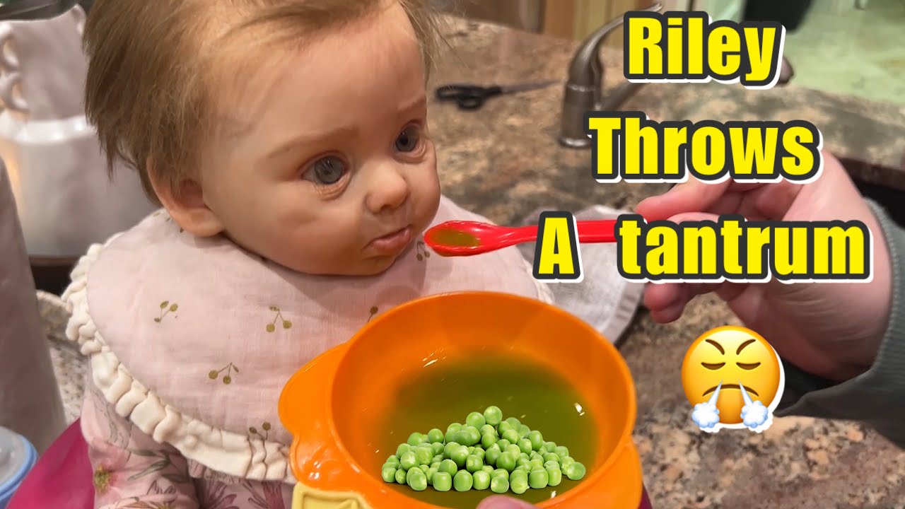 Riley throw a temper tantrum | reborn role play | reborn video
