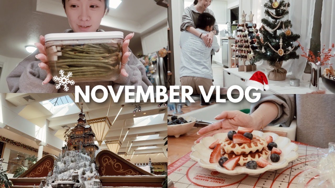 🎄NOVEMBER VLOG ｜泡豇豆开坛｜比利时华夫饼｜涤纶的第一个圣诞礼物惊喜