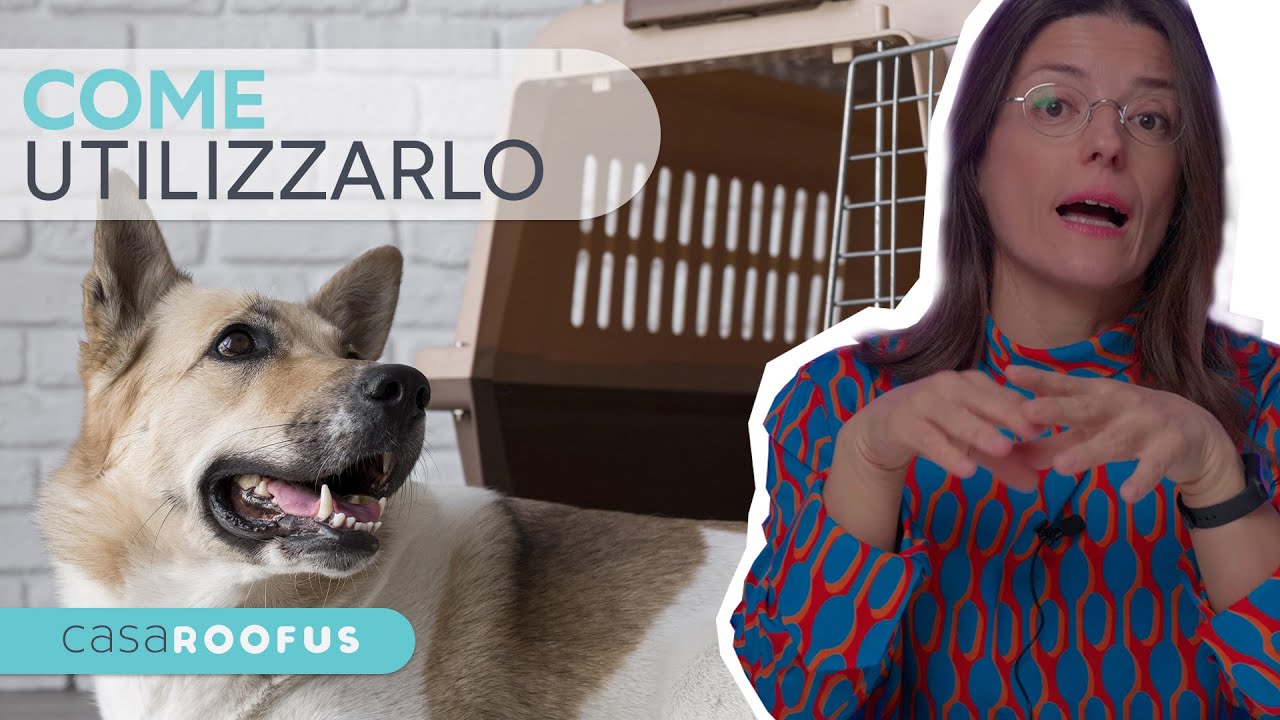 Kennel e Cuccia - Come insegnare al tuo CANE ad apprezzarli - Istruzione Cinofila