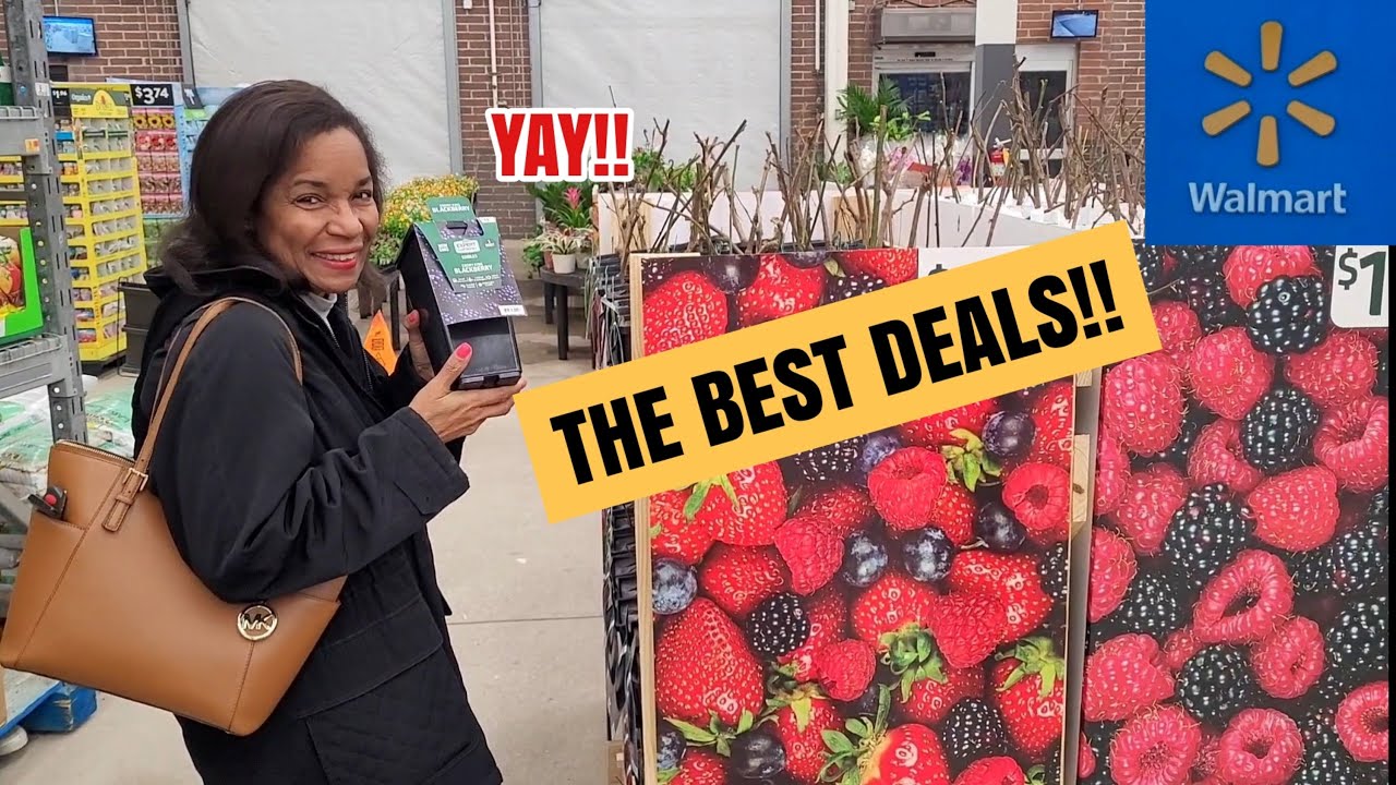 Саженцы с открытой корневой системой, семена и луковицы по сниженным ценам в Walmart | Цены и сам...