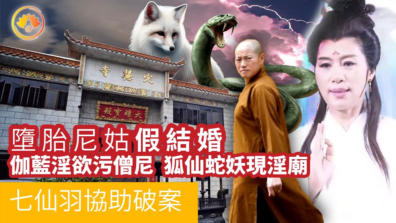 七仙羽的口供｜墮胎尼姑假結婚｜伽藍淫欲污僧尼｜狐仙蛇妖現寺廟｜2015年佛門奇案