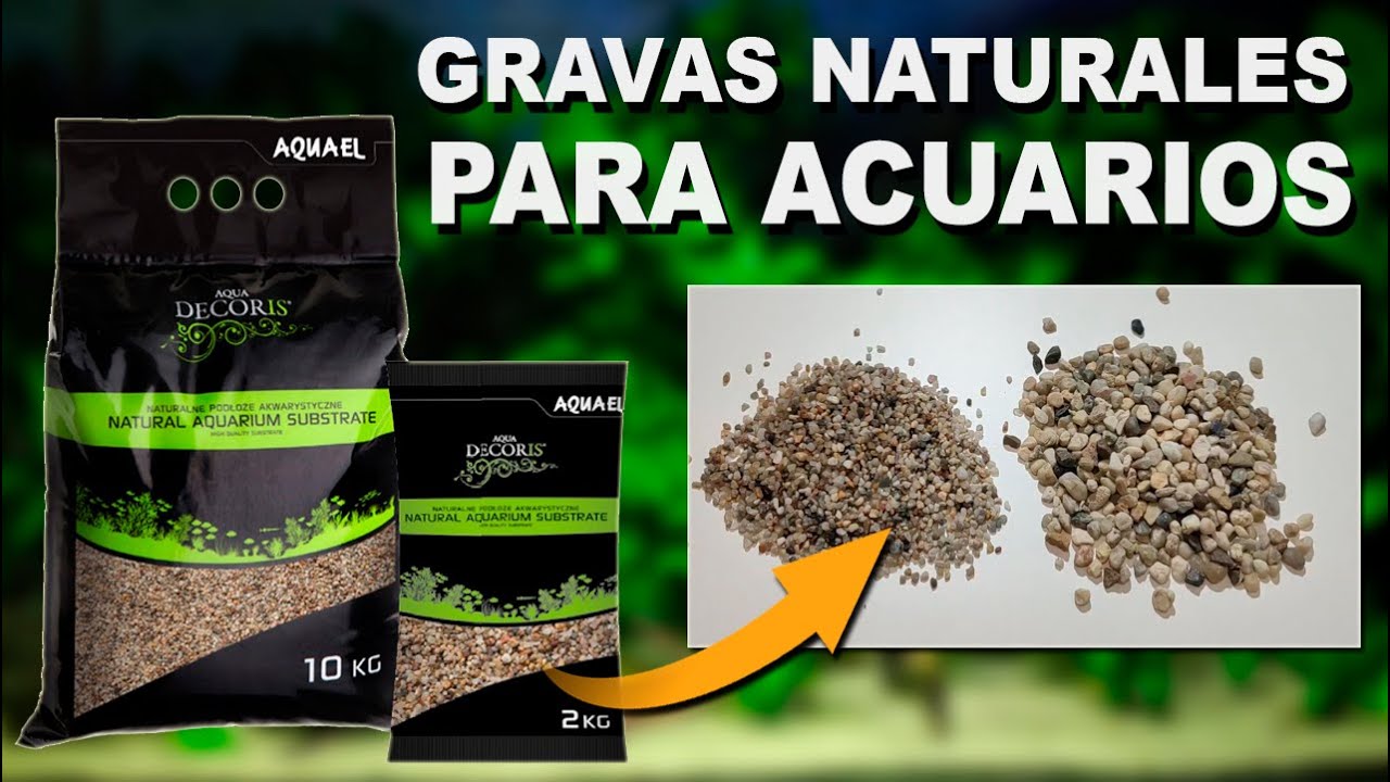 Grava Natural para Acuarios - Aquael | Análisis Completo 🐠🌱