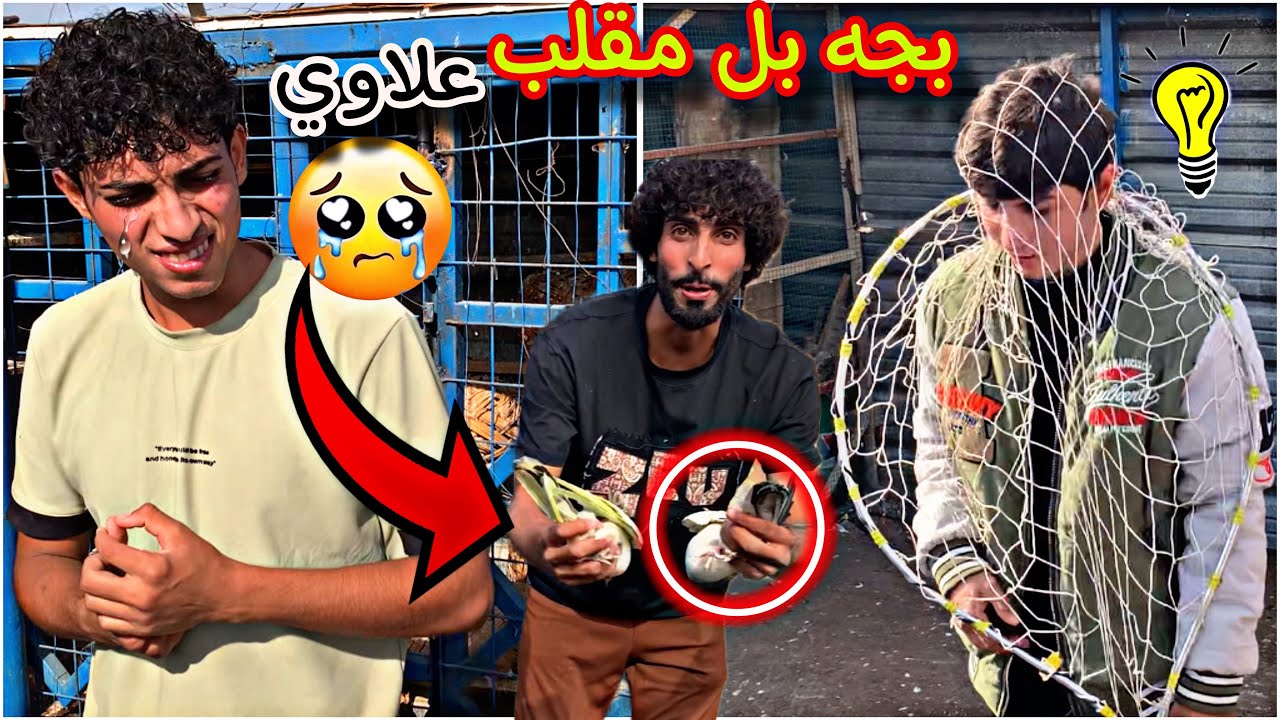 سوينه مقلب بعلاوي بطيور 🕊️وكام يبجي 🥺من وره المقلب