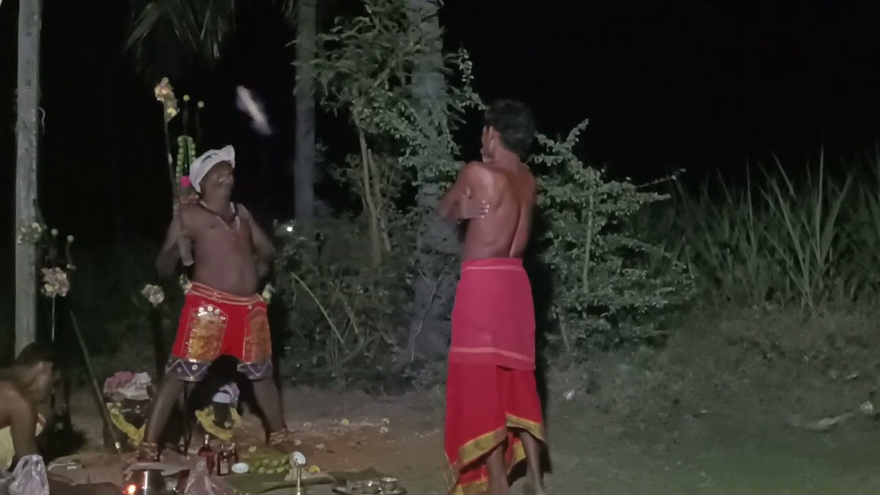 அருள் வாக்கு தொலைபேசி எண் 73 73 33 71 94