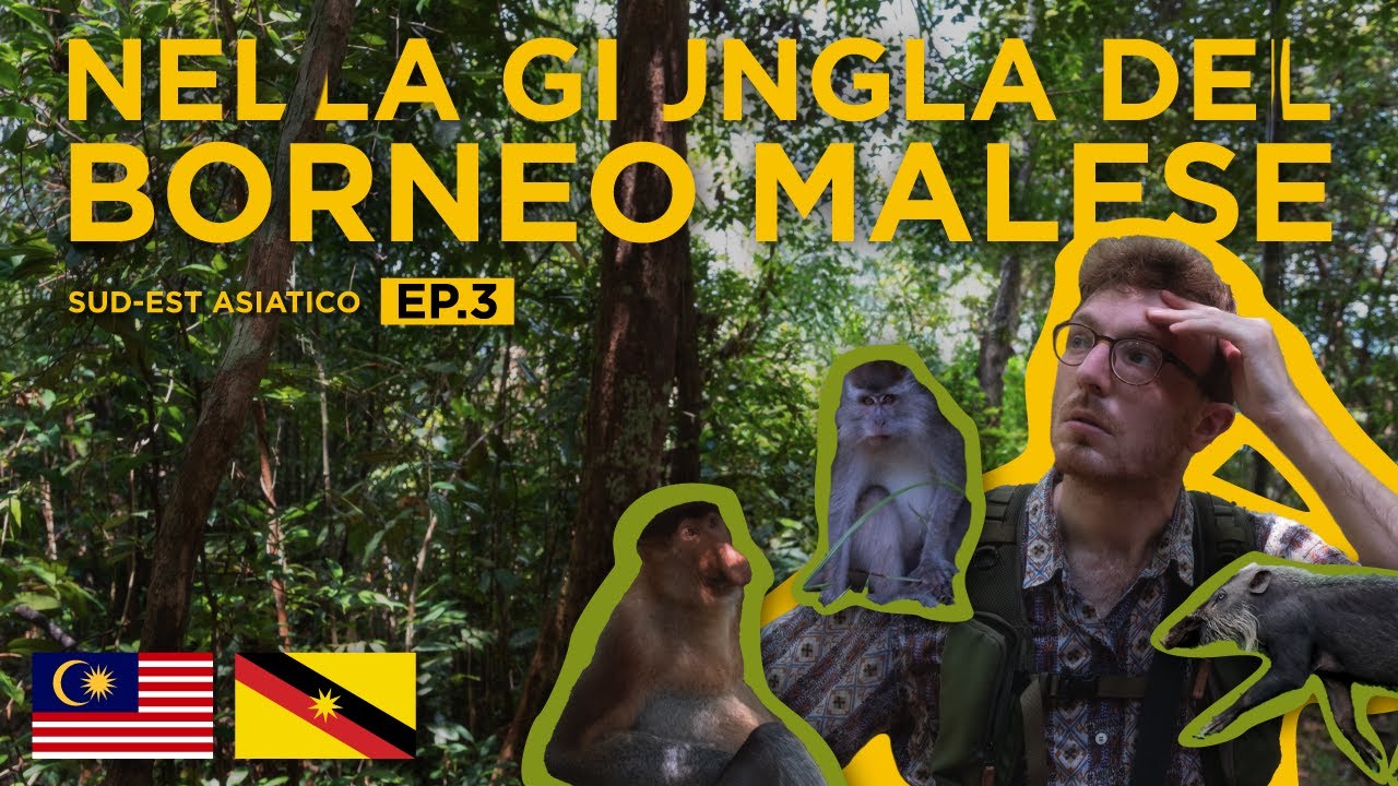 Il meglio del Borneo Malese | Il Sarawak tra Kuching e il Bako National Park