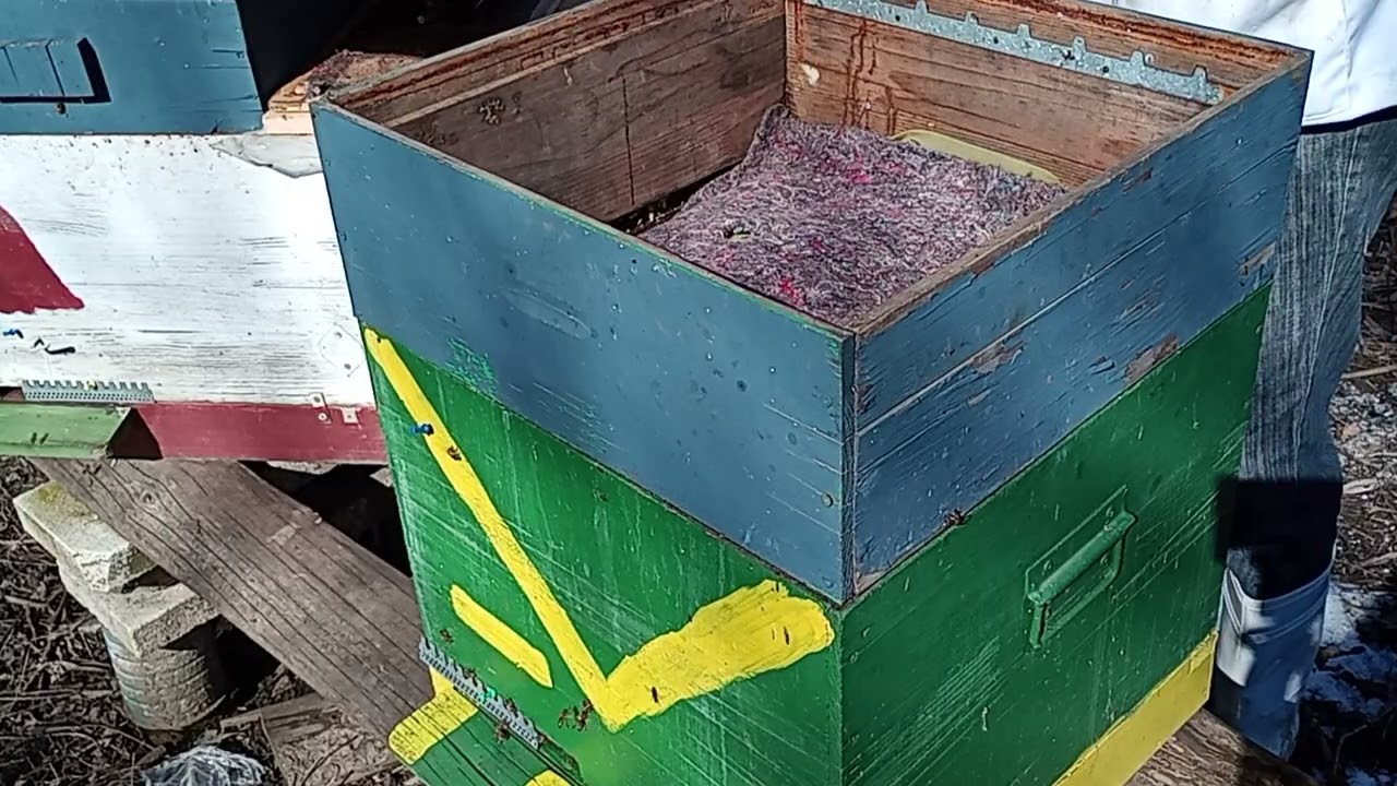 Folie , Mâncare și Aerisire la albine