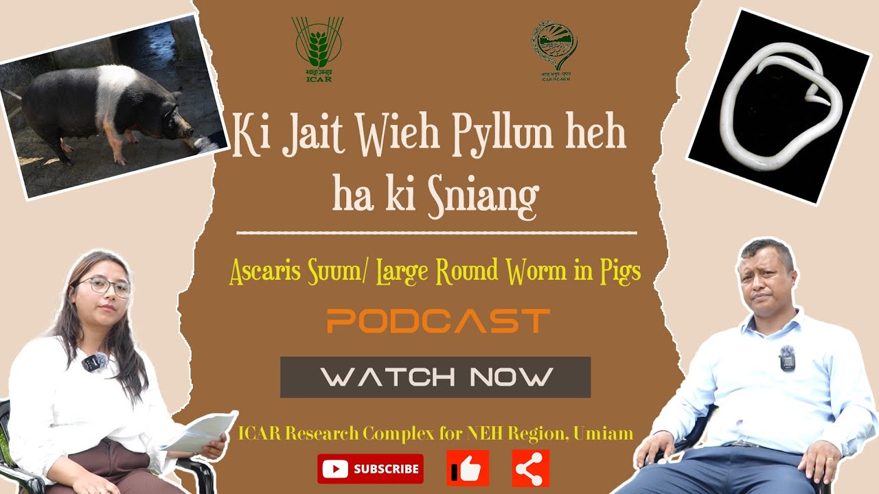 EP - 09 || Podcast on 