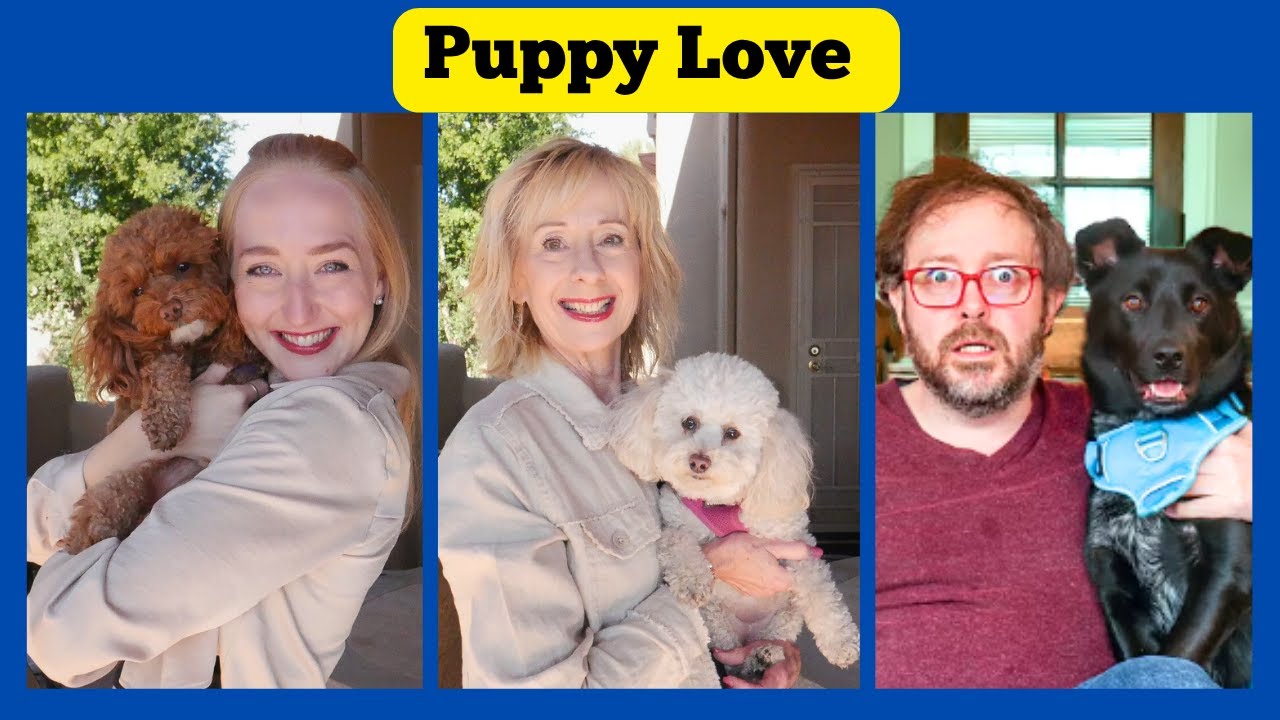 I Lived with a Puppy for 1 Year. Here's What Happened. Brits with Puppies React!