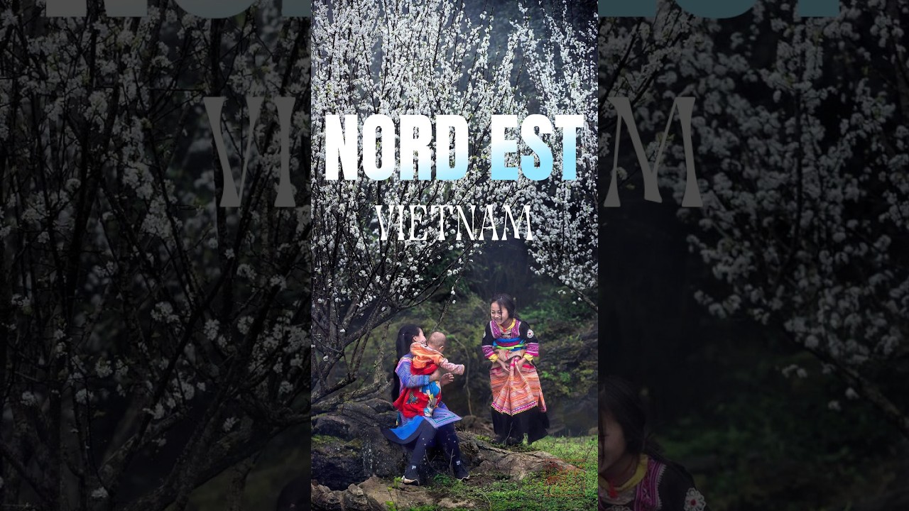 Nord-Est du Vietnam : Les incontournables à découvrir absolument !