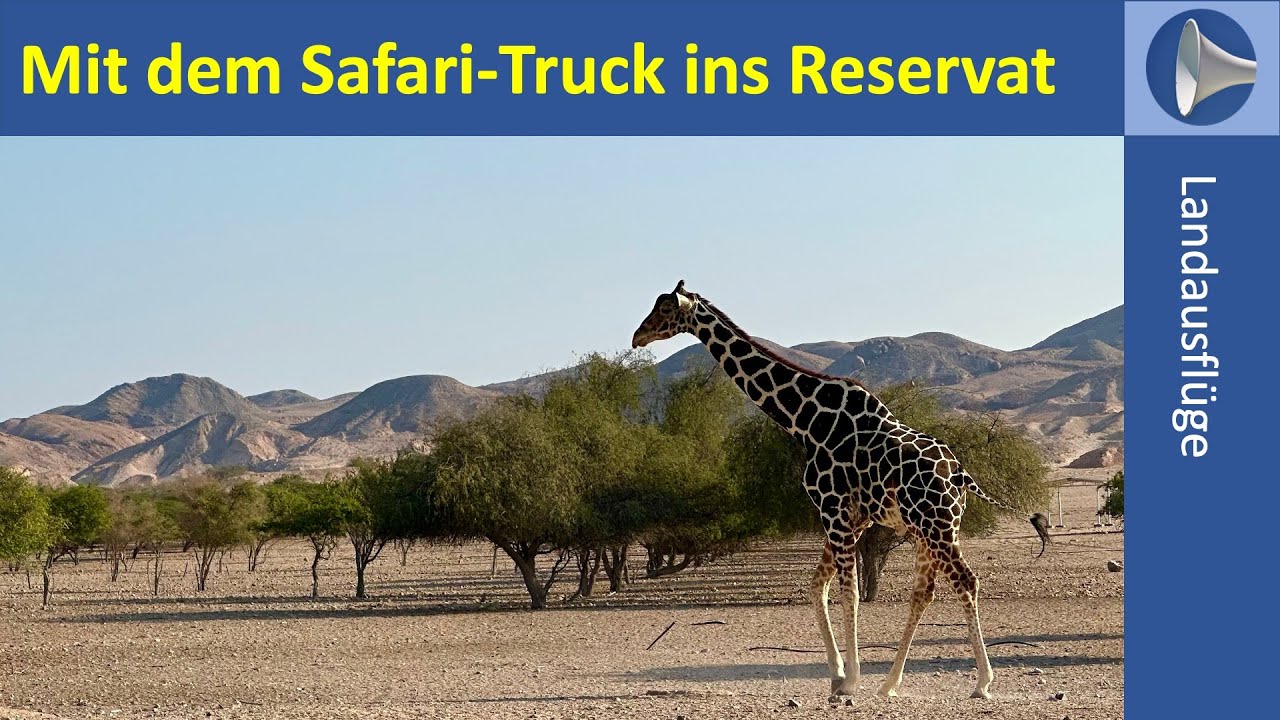 Ausflug: Mit dem Safari-Truck durch das Naturreservat (AIDA YAS14)