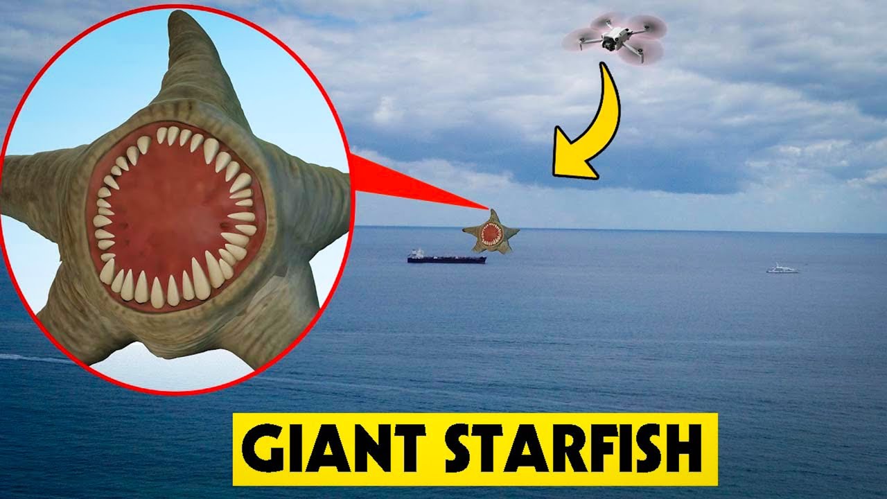 DRONE CATCHES GIANT STARFISH SEA CREATURE IN REAL LIFE!