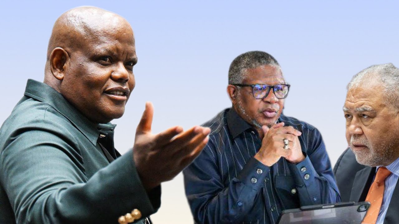 [WATCH] General Phahlane insists his removal under Fikile Mbalula was irregular