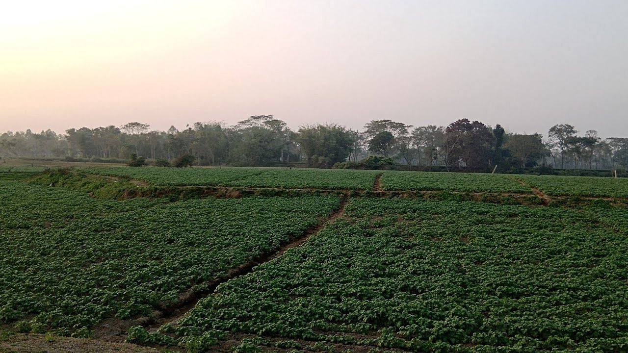 আমাদের গ্রামের দুপুরের পরিবেশ 