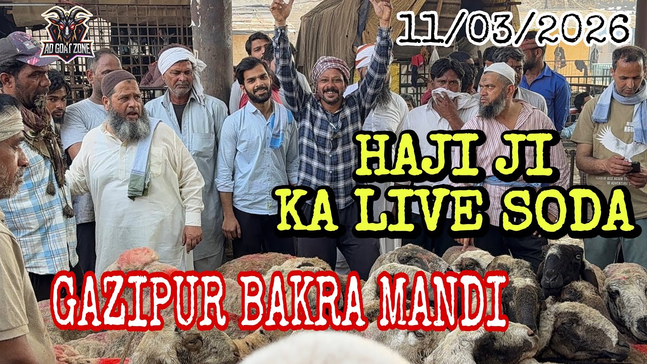 DELHI GAZIPUR BAKRA MANDI || HAJI JI KA LIVE SODA @ADGoatzone #viralvideo 