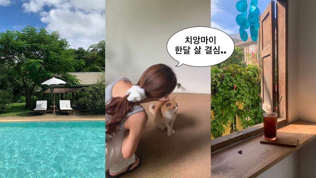 인생 숙소! 인생 맛집! 인생 카페! 모든게 완벽했던 나 혼자 치앙마이 여행 브이로그🐘🇹🇭