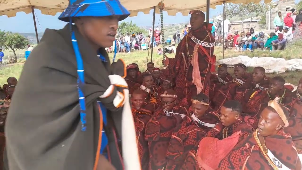 Makoloane a Tsokung 2024