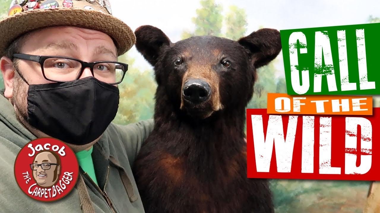 Call of the Wild