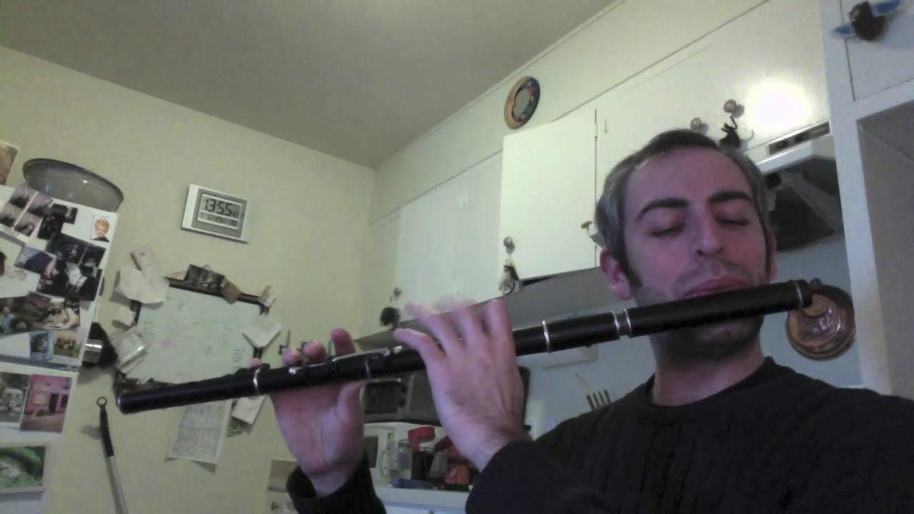 Jenny's Chickens - Irish Flute - slow/fast
