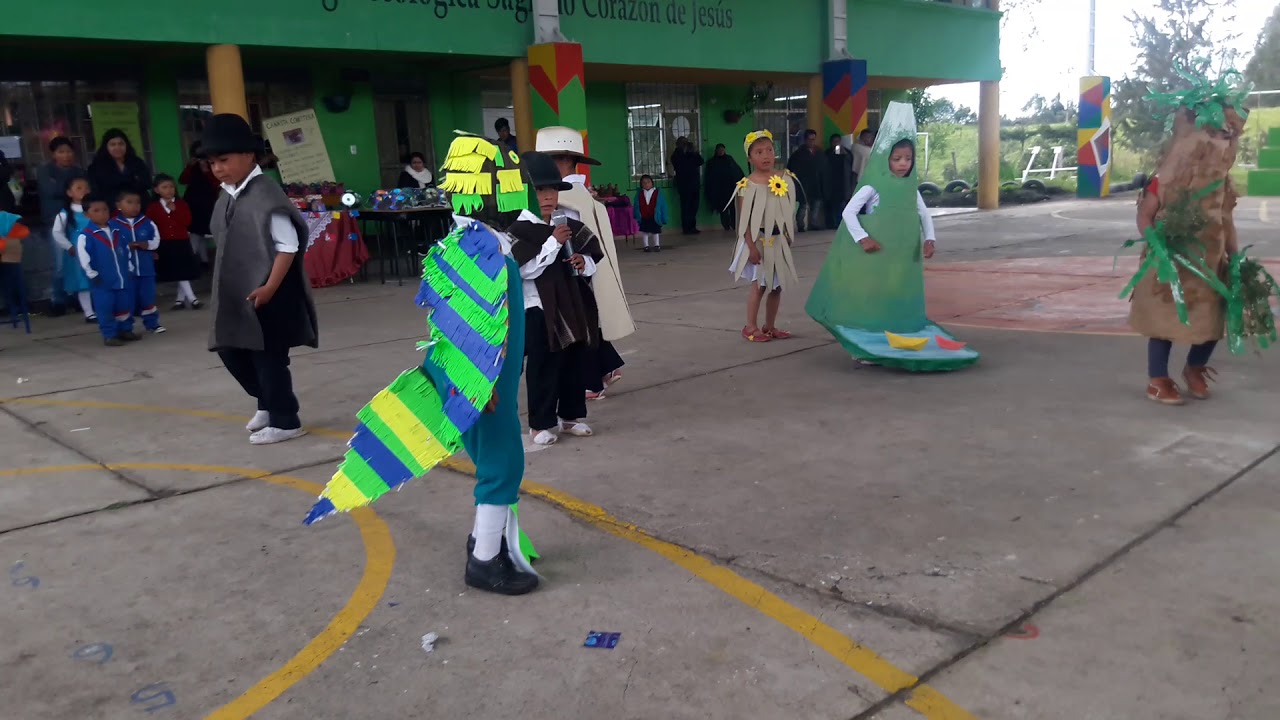 DAVID ALEJANDRO TARAPUES TIPAZ