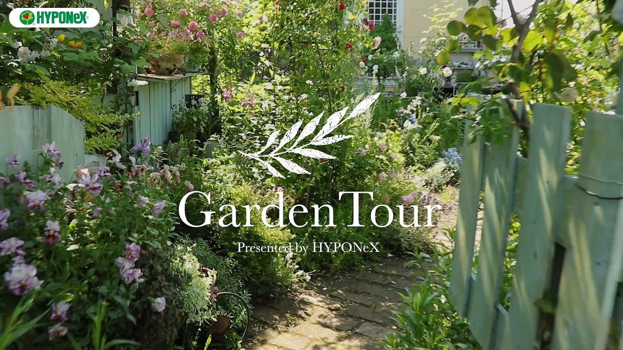 🕊Garden Tour🕊23：バラと草花の共演をイメージした、ふんわり優しい雰囲気のナチュラルガーデン