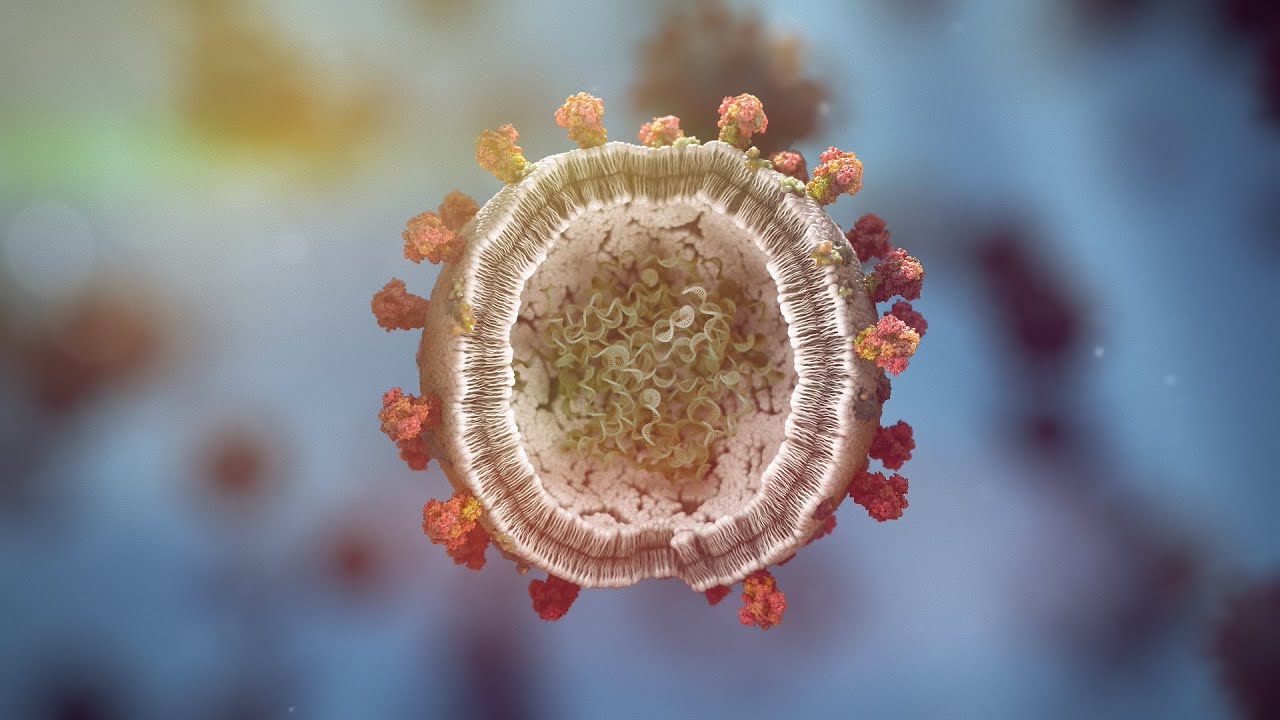 Biomanufacturing a COVID-19 vector vaccine