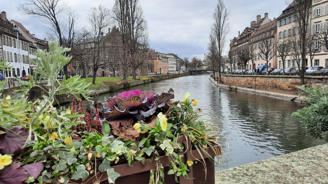 Batorama (boat tour) Strasbourg, France | Strasbourg Canal Boat Tour #viral #travel #france