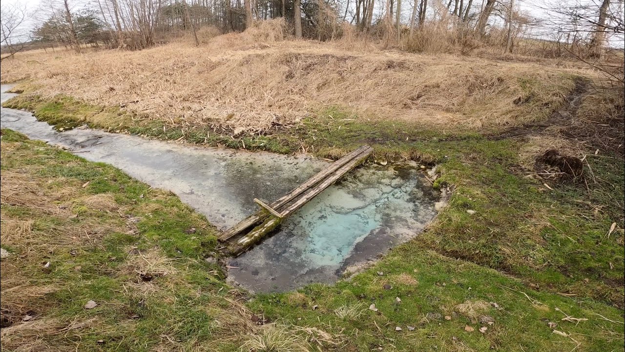 Borownica od źródła do ujścia