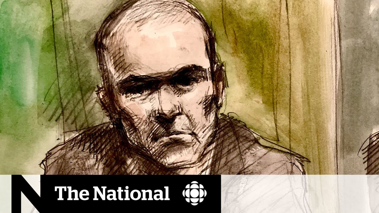 Accused in Toronto van attack pleads not criminally responsible