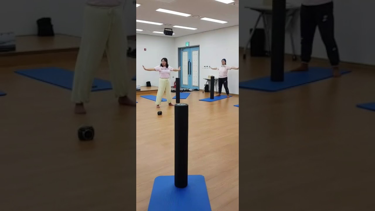 시니어 8분 유산소 운동 #로라쌤 #시니어PT #논산시니어운동 