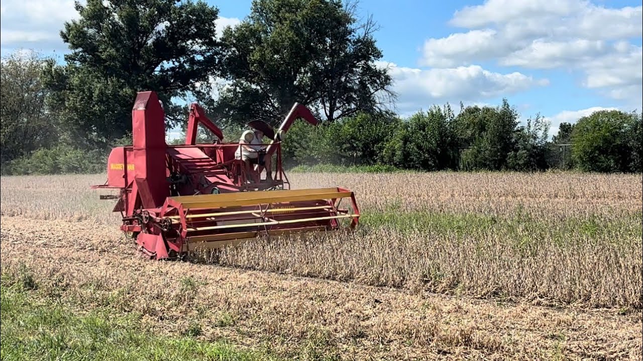 Harvesting Demonstration at the Half of Progress Show 2025
