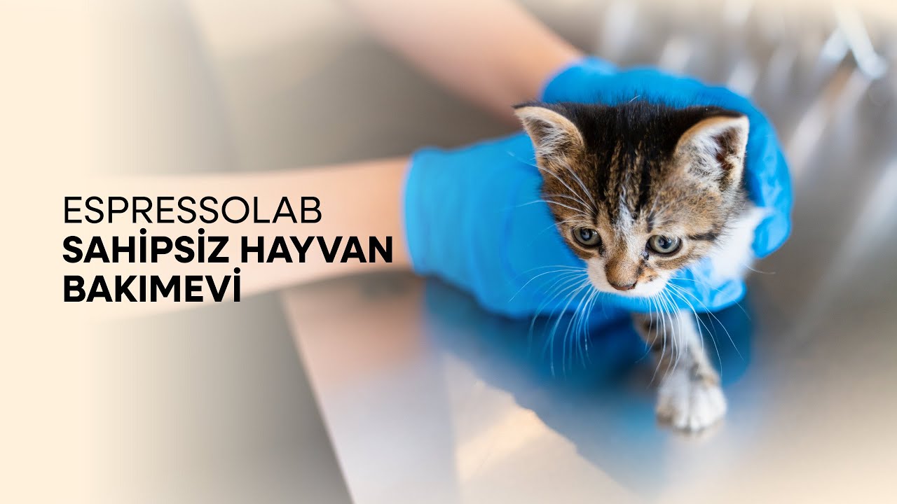 Espressolab Sahipsiz Hayvan Bakımevi A&ccedil;ıldı! 🐾