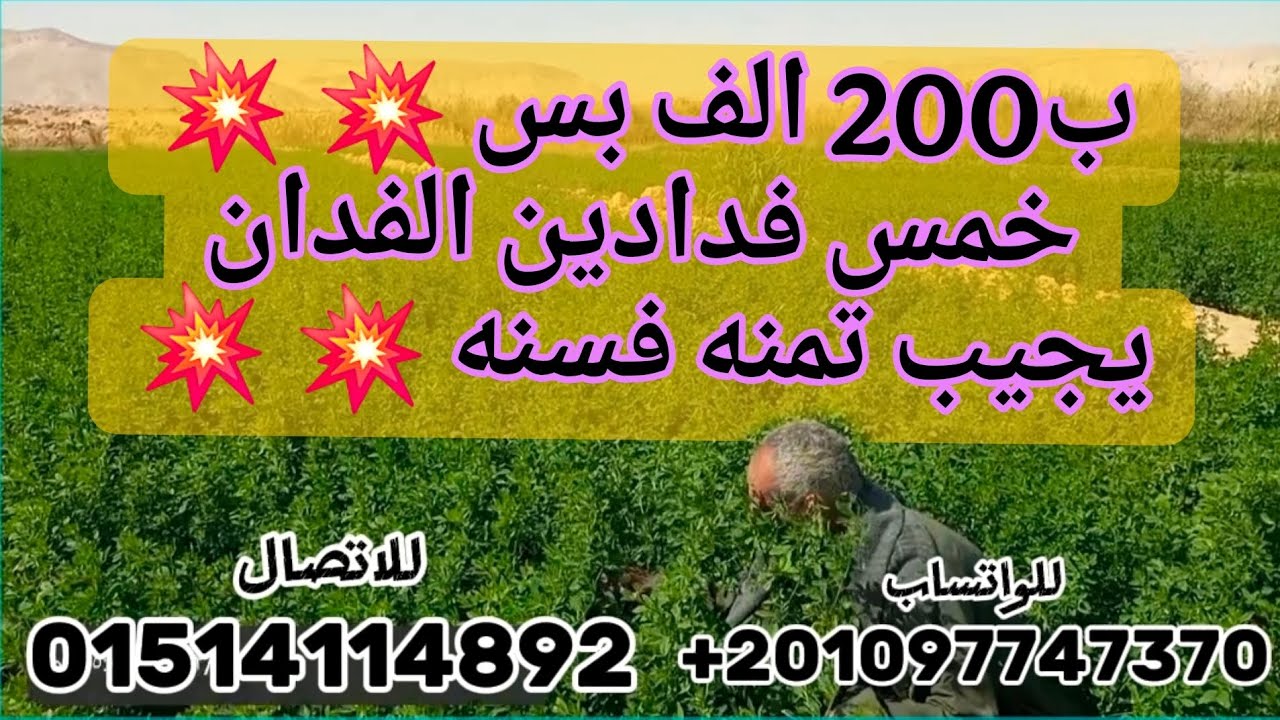 5 فدان للبيع اسعار خياليه واحلي دخل ثابت ❤️ 💥 