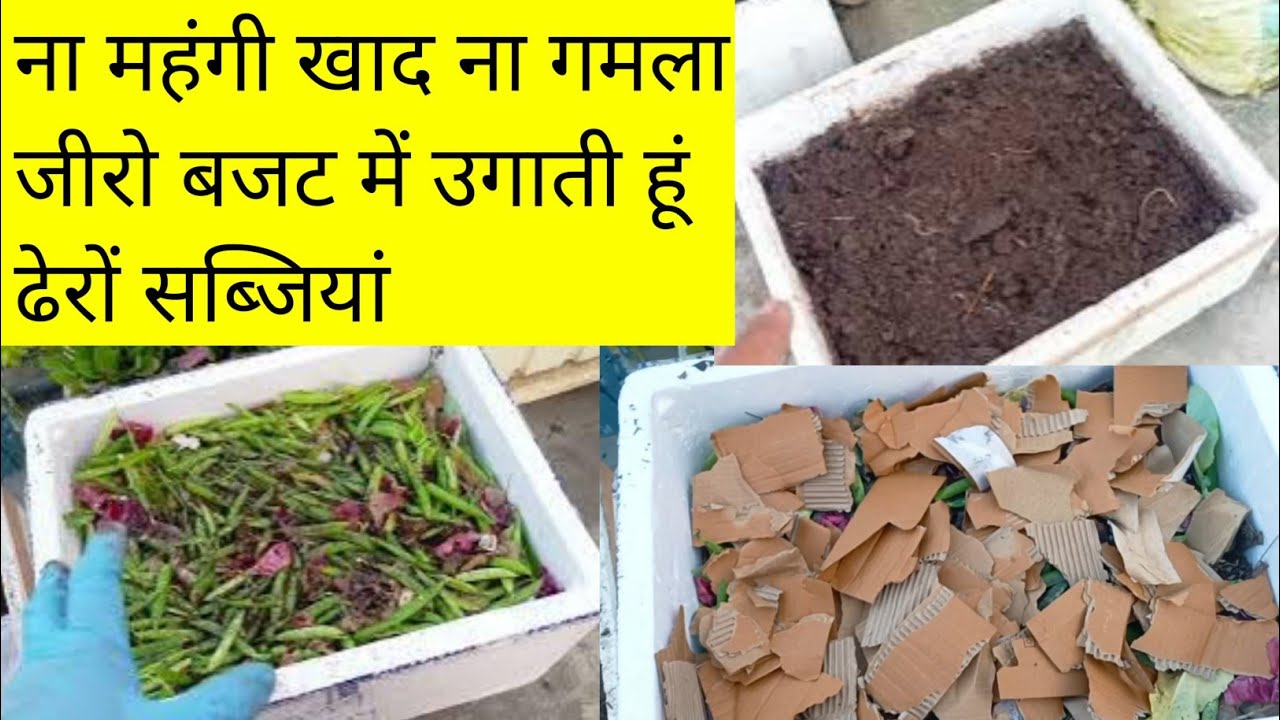 महंगे गमले खाद के बिना जीरो बजट में उगाती हूं ढेरों सब्जियां छत पर/Zero Budget Vegetables GrowingDIY