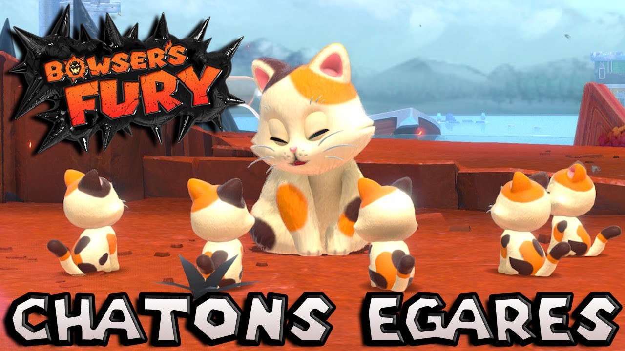 LES CHAT PERDU DE LA CLOCHE DES ROCS | SUPER MARIO 3D WORLD + BOWSER’S FURY
