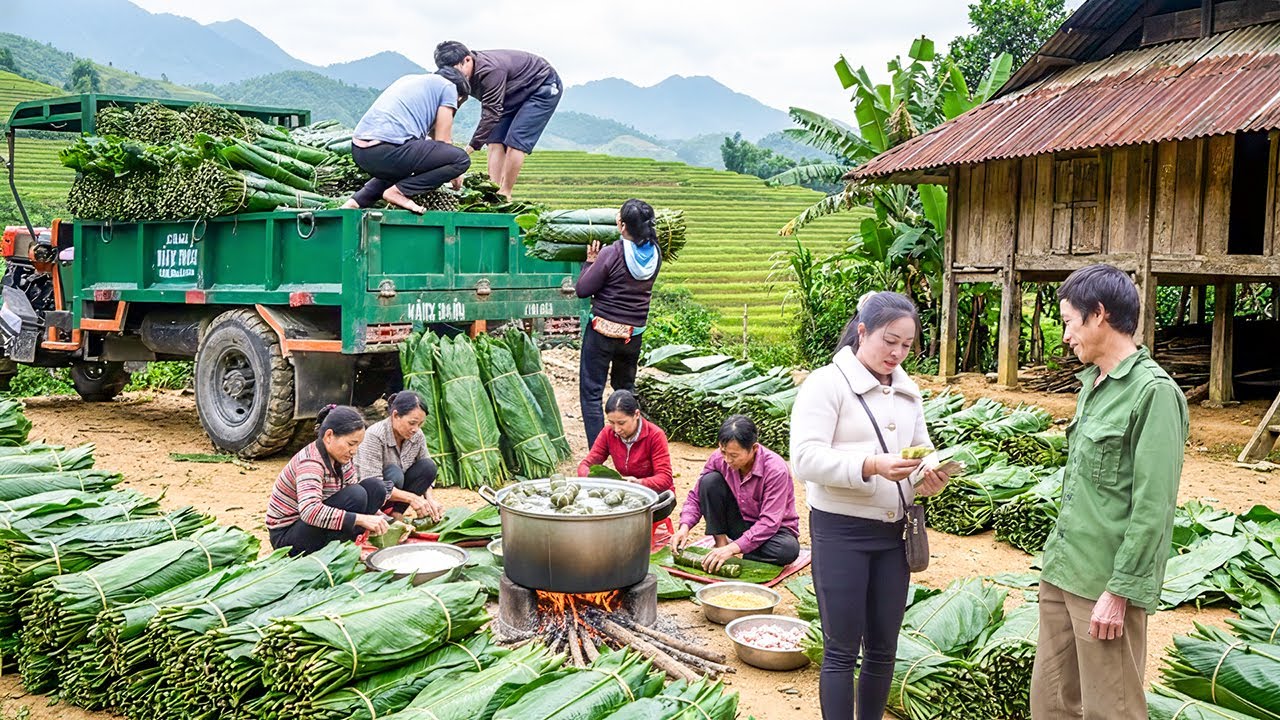 TIMELAPSE -- Buy Dong Leaves for New Year | Loading 100kg Dong Leaves on the Truck Sell to Trader