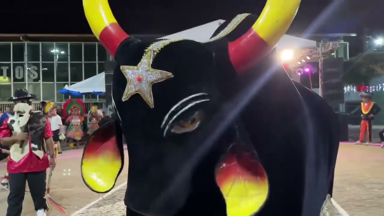 REISADO BOI CAIÇARA (SOBRAL) NO VIII NATAL NA SERRA - MERUOCA/CE
