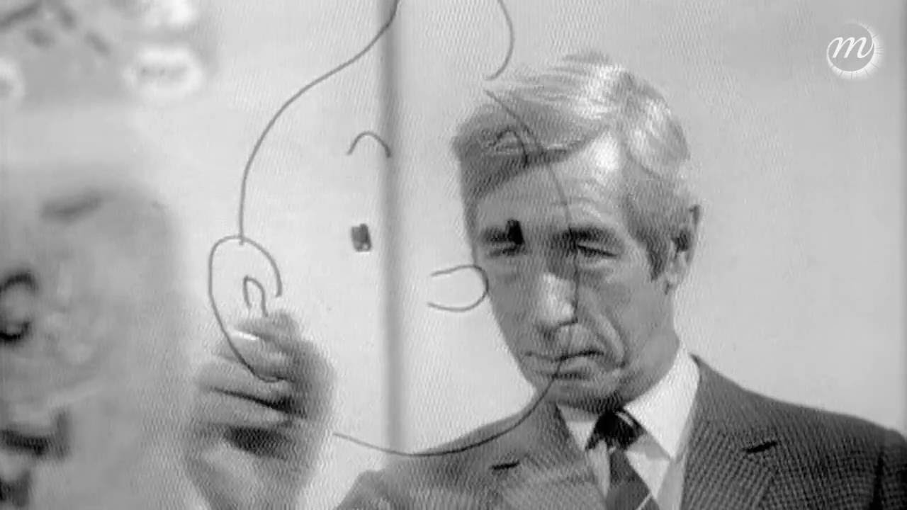 Hergé, à l’ombre de Tintin (extrait de « Hergé, à l’ombre de Tintin » de H. Nancy)