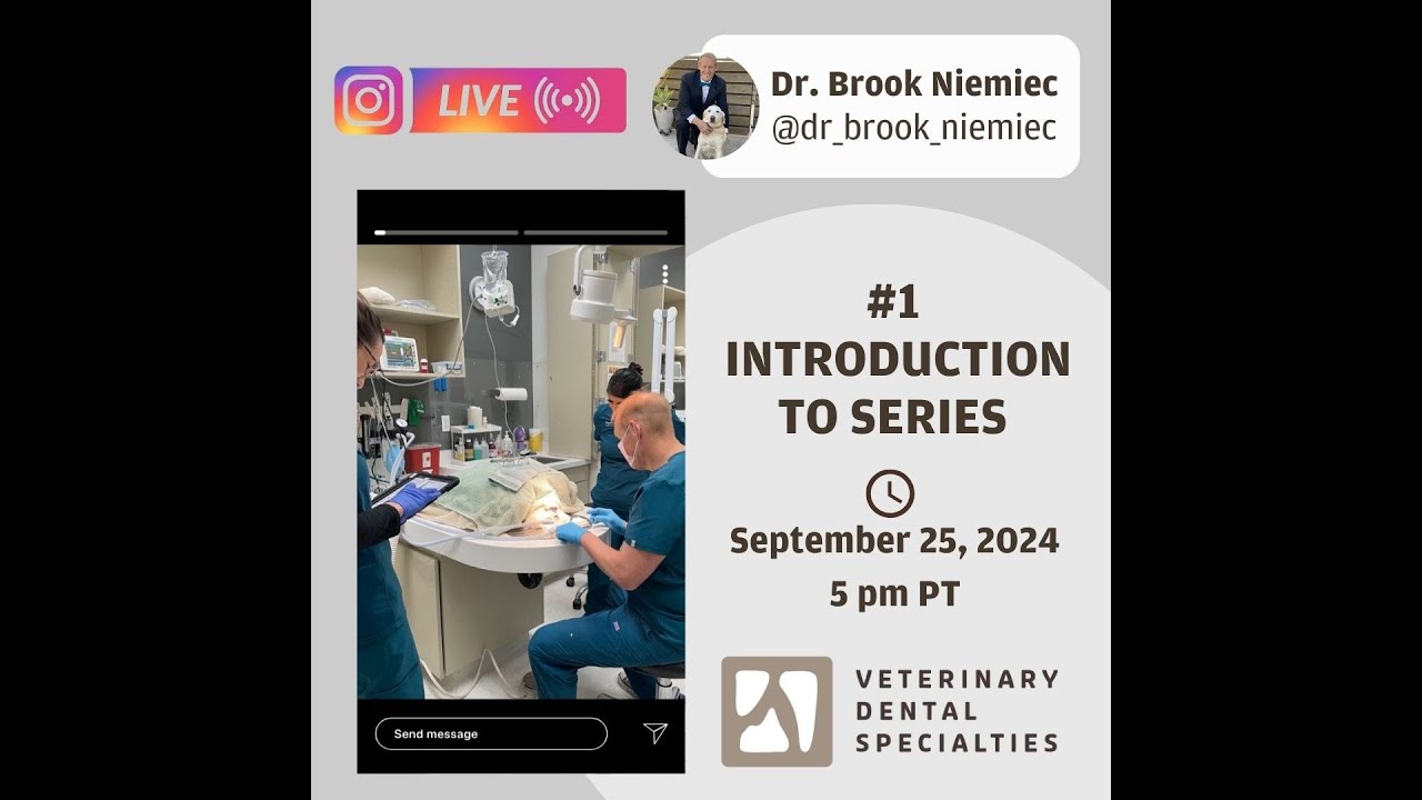 Dr Brook Niemiec: 5-part series: INTRO: VET DENTAL FLAPS