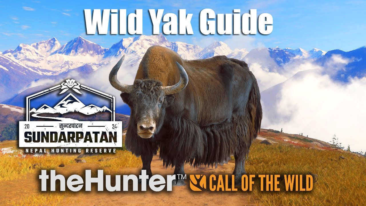 Wild Yak Guide - Sundarpatan Nepal - theHunter Call of the wild