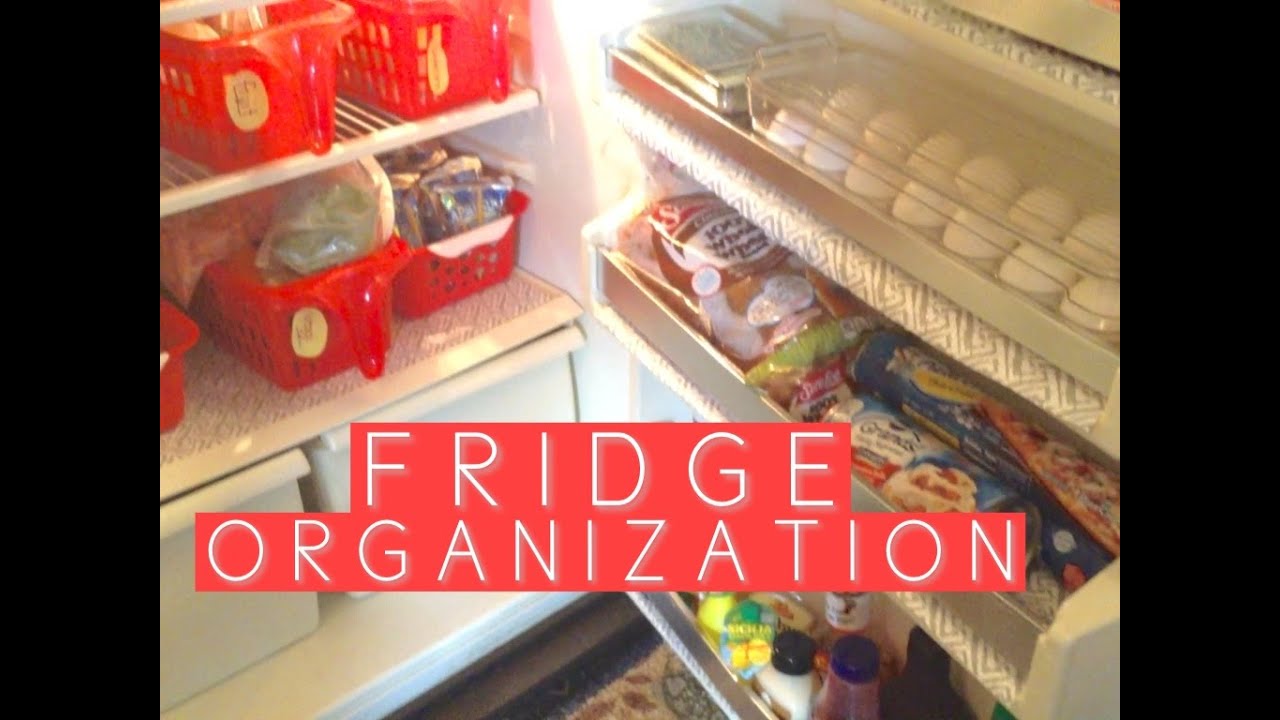 SMALL APARTMENT FRIDGE ORGANIZATION FOR UNDER $15 | DOLLAR TREE | FRIDGE TOUR