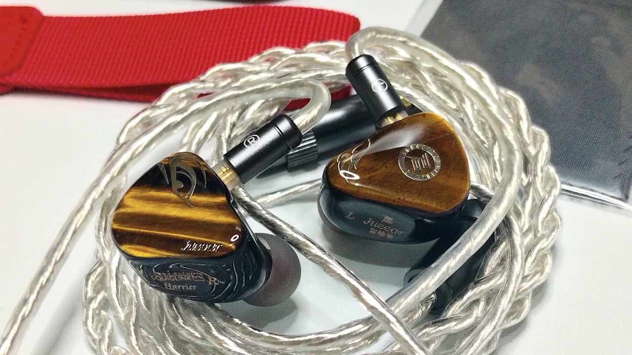Great IEM that's Misunderstood by Many | Juzear Harrier Review