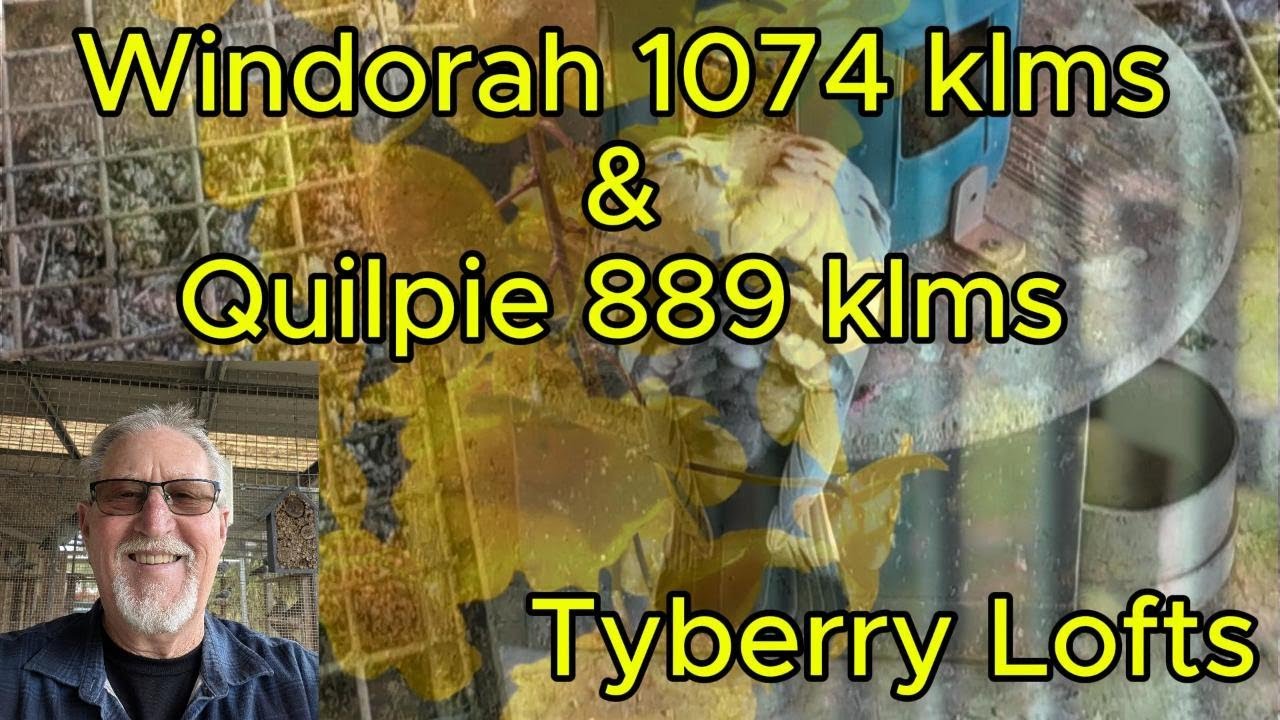 Windorah 1074 klms &  Quilpie 889 klms