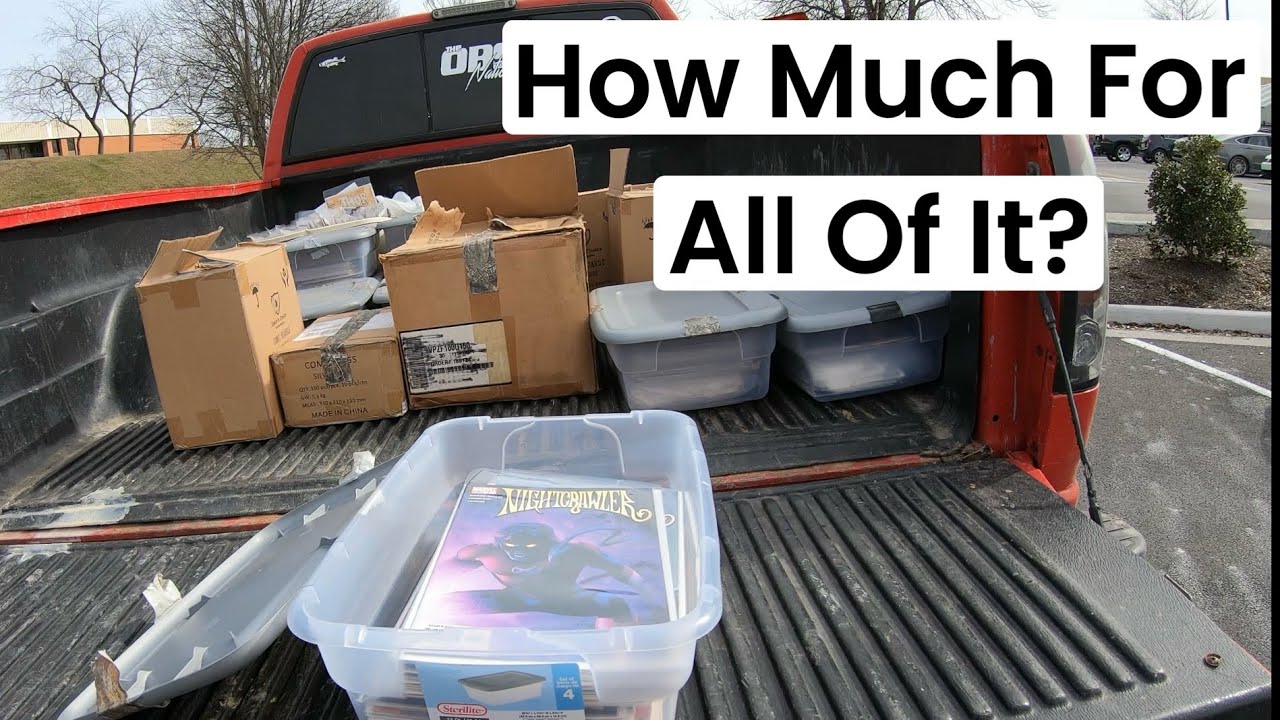 Buying Comic Books In A Walmart Parking Lot / Vlog