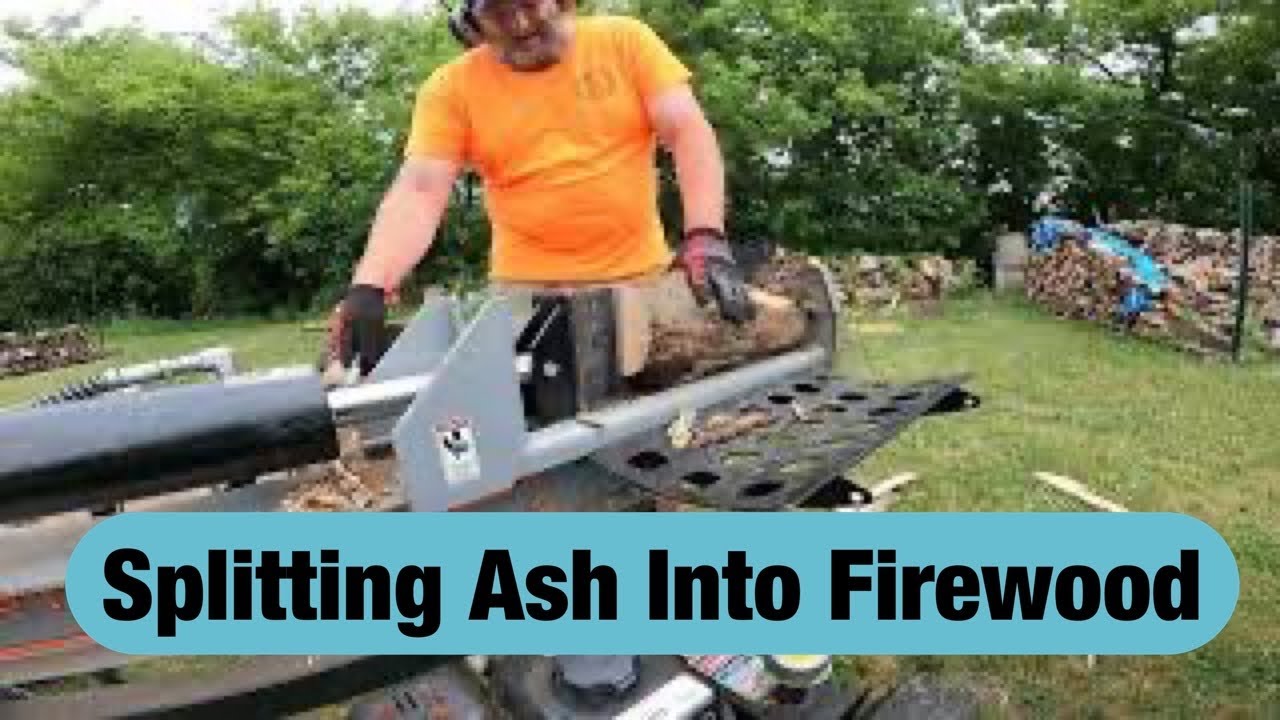 Splitting Ash Into Firewood