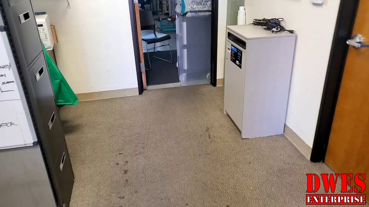 Dirty Commercial Carpet Cleaning by DWES Enterprise Vlog #28