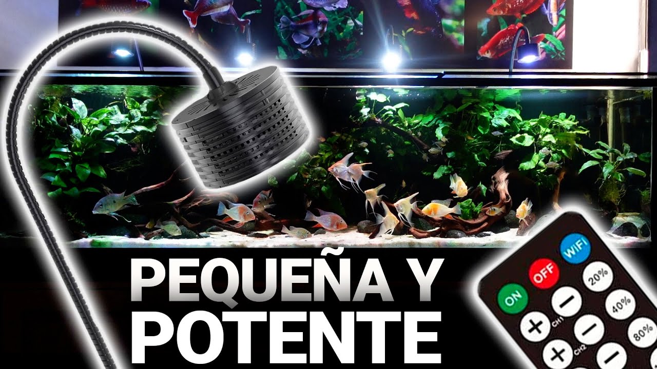 Una lámpara para acuario muy interesante 🧐 | Lominie Asta 20